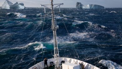 Фото - Арктика: Как покоряют Северный морской путь