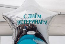 Фото - В день ветеринарного работника в Ломоносове открылась новая ветклиника