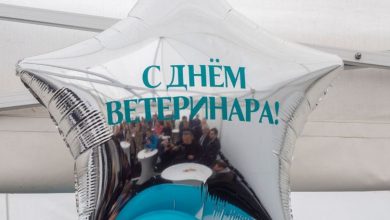 Фото - В день ветеринарного работника в Ломоносове открылась новая ветклиника