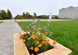 Фото - В Киришах открылся новый парк