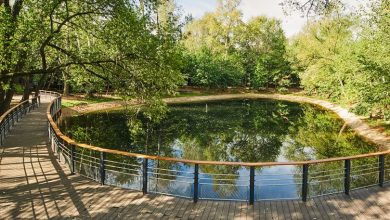 Фото - В парке «Кусково» завершена экологическая реабилитация Локасинского пруда
